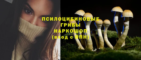 герыч Алзамай
